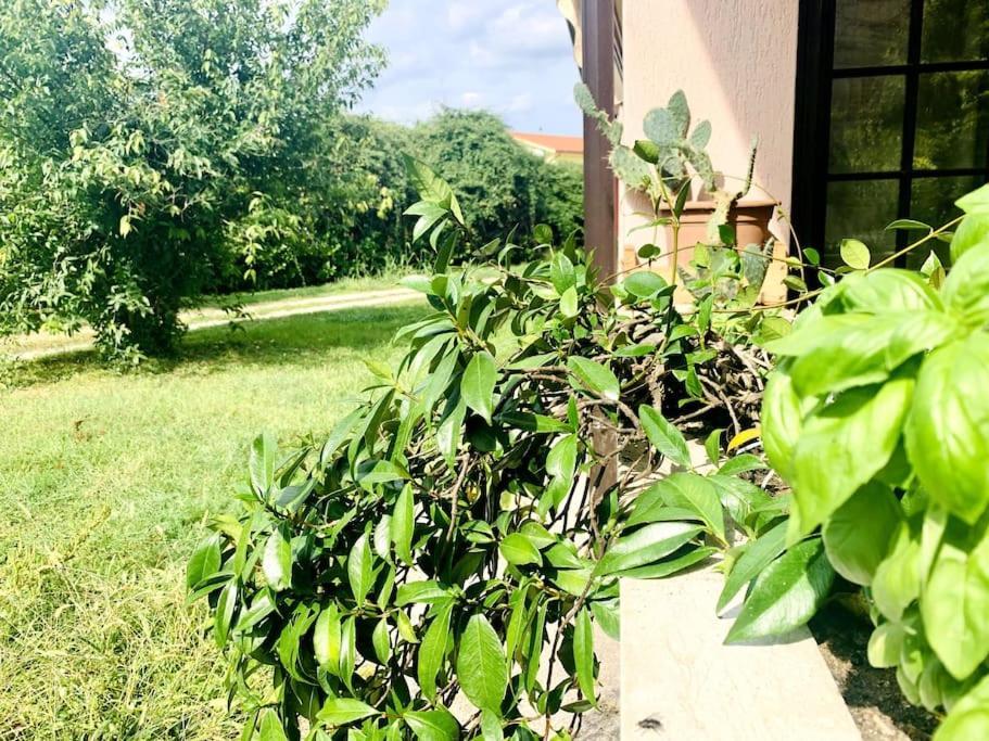Canton  Raffinatezza Rustica Nella Campagna Veneziana 아파트 외부 사진